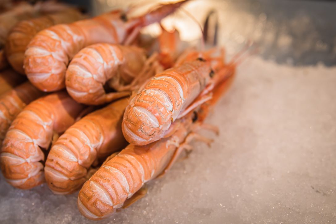 Livraison Langoustines crues à Rouen Poissonnerie Le Littoral - Ollca