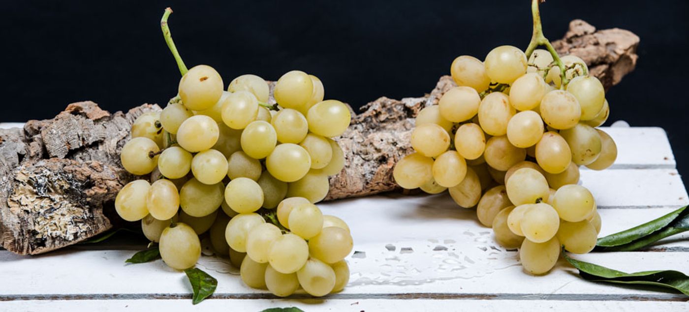 Livraison Raisin Muscat blanc (exalta) à Lille Les Vergers Dupré - Ollca