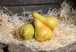 Poire william verte