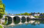 Cognac