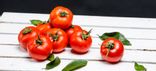 Tomate ronde