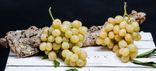 Raisin Blanc Italie sans pépins