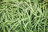 Haricot vert