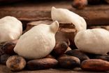 Chocolats Glatigny