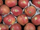 Pomme Boskoop
