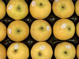 Pomme Chanteclerc