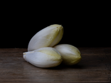 Endive
