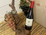Cerise sur le gâteau Pinot noir