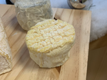Crottin de l'Or Blanc