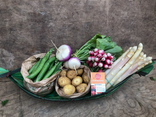 Petit panier de Printemps