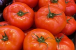 Tomates Extra
