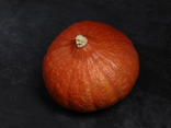 Potimarron