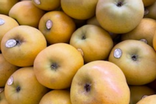 Pommes Chantecler
