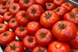 Tomates rondes