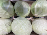 Primeur de Gama