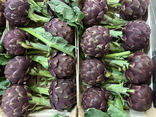 Artichaut violet bio