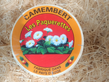 Camembert les Pâquerettes