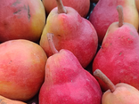 Poire William rouge