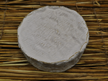 Camembert de Normandie AOP