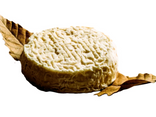 Mothais sur feuille AOP