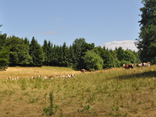 Fromages de nos terroirs - Pontivy