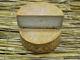Tommette de chèvre bretonne