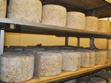Fromages de nos terroirs - Pontivy