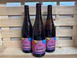 Kombucha Feuille de Cassissier - 75 cl