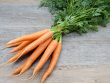 Carottes botte