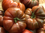 Tomates de Crimée