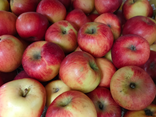 Pomme fuji