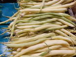 Haricots beurre