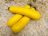Courgettes jaunes