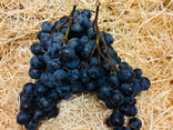Raisins noirs Muscat