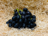 Raisin bonbon sans pépins blanc