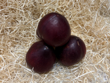 Prune
