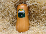 Butternut