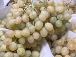Raisin Italia