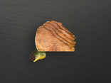 Saumon Gravlax Maison