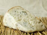 Gorgonzola DOP