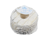 Petite Rouelle cendrée du Tarn