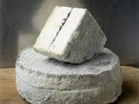 Tomme Adrienne
