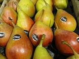 Poire QTee Célina
