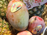 Mangue Osteen