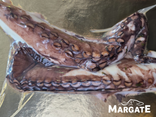 Tentacule de poulpe cuite