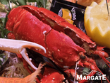 Homard bleu cuit