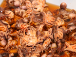 Petits poulpes au paprika