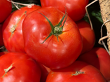 Tomates à farcir