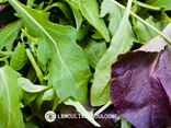 Mesclun