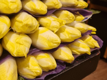 Endive (500g de 4 à 6 pièces)